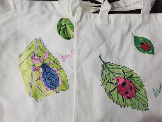 2025.9.13-2026.1.31仅节假日布袋彩绘9：30-15：00